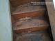 2654 W 98th, Evergreen Park, IL 60805