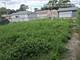 2654 W 98th, Evergreen Park, IL 60805