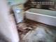 2654 W 98th, Evergreen Park, IL 60805