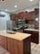 1231 E 46th Unit GE, Chicago, IL 60653