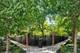 1310 N Ritchie Unit 24BC, Chicago, IL 60610