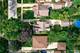 208 Ingleside, Aurora, IL 60506