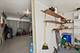 4829 N Karlov, Chicago, IL 60630