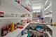 4829 N Karlov, Chicago, IL 60630