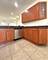 1223 E 52nd Unit 1, Chicago, IL 60615