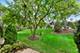 2813 Odlum, Schaumburg, IL 60194