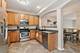 420 N Harrison, Algonquin, IL 60102