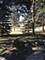1626 Lunt Unit B, Des Plaines, IL 60018