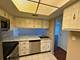 830 Elder Unit 111, Homewood, IL 60430