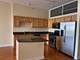 1305 S Michigan Unit 1702, Chicago, IL 60605