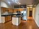 1305 S Michigan Unit 1702, Chicago, IL 60605