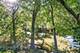1161 E 158th, South Holland, IL 60473