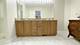 868 Longmeadow Unit 1006, Lake Barrington, IL 60010