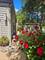 868 Longmeadow Unit 1006, Lake Barrington, IL 60010