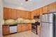 1512 S Halsted, Chicago, IL 60607