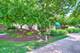 5 S Pine Unit 302, Mount Prospect, IL 60056