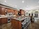 1219 W Wrightwood, Chicago, IL 60614