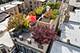 3444 N Halsted Unit PH, Chicago, IL 60657