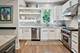 1441 W Cullom, Chicago, IL 60613
