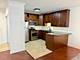 630 N State Unit 1405, Chicago, IL 60654