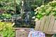 43 Indian Hill, Winnetka, IL 60093