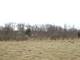 1551 W Longwood, Woodstock, IL 60098