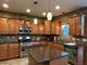 2861 Meadow Path, New Lenox, IL 60451