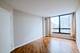 2020 N Lincoln Park West Unit 18J, Chicago, IL 60614