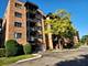 9356 Landings Unit 403, Des Plaines, IL 60016