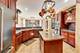 10840 Christopher, Lemont, IL 60439