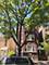 6418 N Rockwell, Chicago, IL 60645