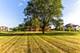 26 E Peter, Hawthorn Woods, IL 60047