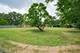 1010 Crabtree, Des Plaines, IL 60016