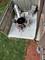 3 Stoney Creek Unit A, Palos Hills, IL 60465