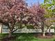 15325 S Timber, Plainfield, IL 60544