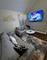 24513 W Stub, Round Lake, IL 60073