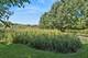 1504 Mansfield, Aurora, IL 60502
