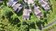 1504 Mansfield, Aurora, IL 60502
