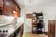 4250 N Marine Unit 1133N, Chicago, IL 60613