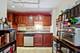 4250 N Marine Unit 1133N, Chicago, IL 60613