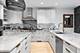 1732 N Winchester, Chicago, IL 60622