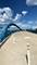 4055 S Ellis, Chicago, IL 60653