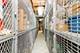 225 W Huron Unit 515, Chicago, IL 60654