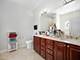 4845 N Springfield Unit 3, Chicago, IL 60625