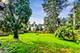 129 E 55th, Westmont, IL 60559