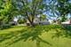 351 Juniper, Carol Stream, IL 60188