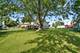 351 Juniper, Carol Stream, IL 60188