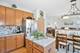 2919 Discovery, Plainfield, IL 60586