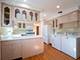 919 S Chester, Park Ridge, IL 60068
