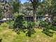 7N949 Stevens, St. Charles, IL 60175